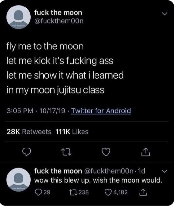 In other words....F*** the moon - meme