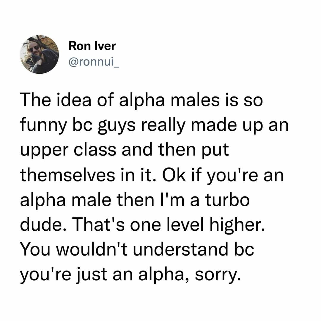 Calling yourself an alpha male seems kinda gay - meme