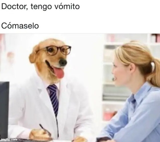 Meme de doctores perrunos