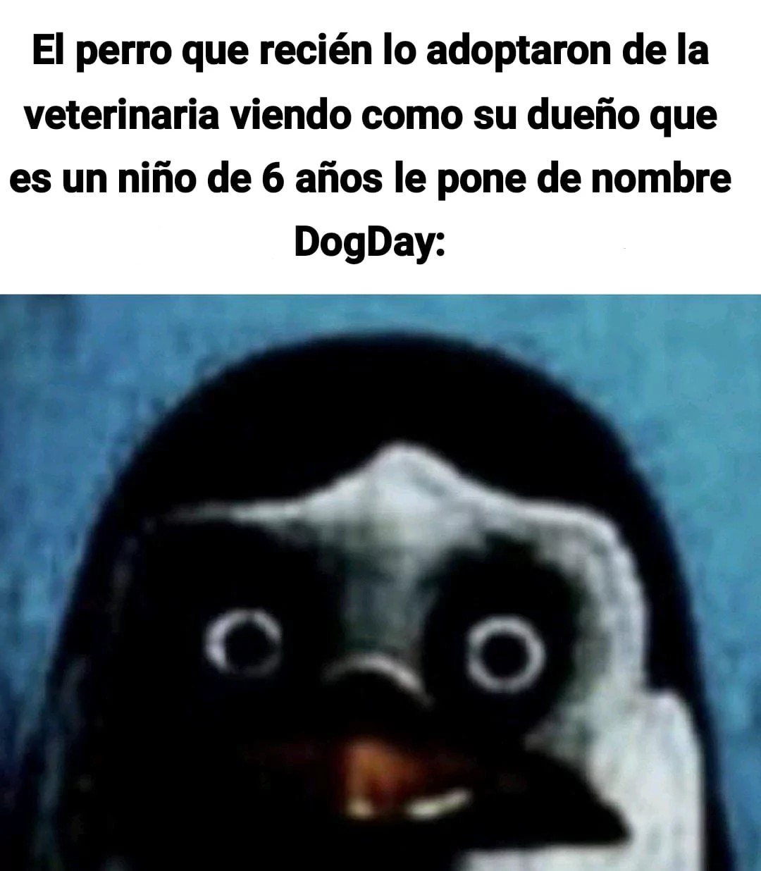 repost - meme