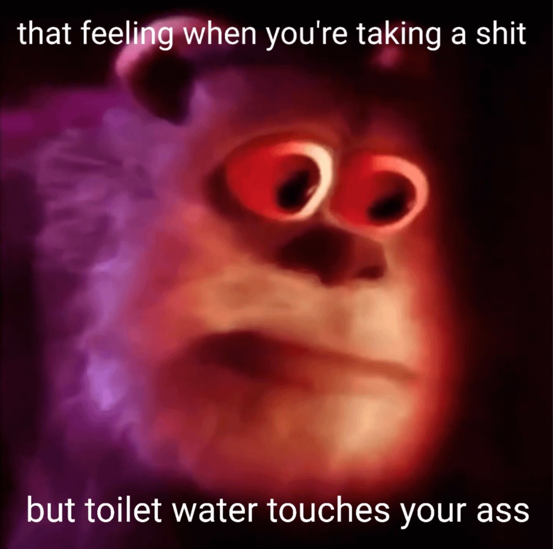 That feeling when you're taking a shit, but toilet water decides to make contact with your ass - meme