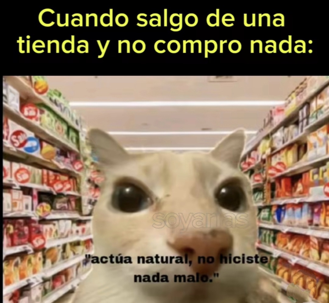 Saliendo de la tienda sin comprar nada como si hubiera robado algo - meme