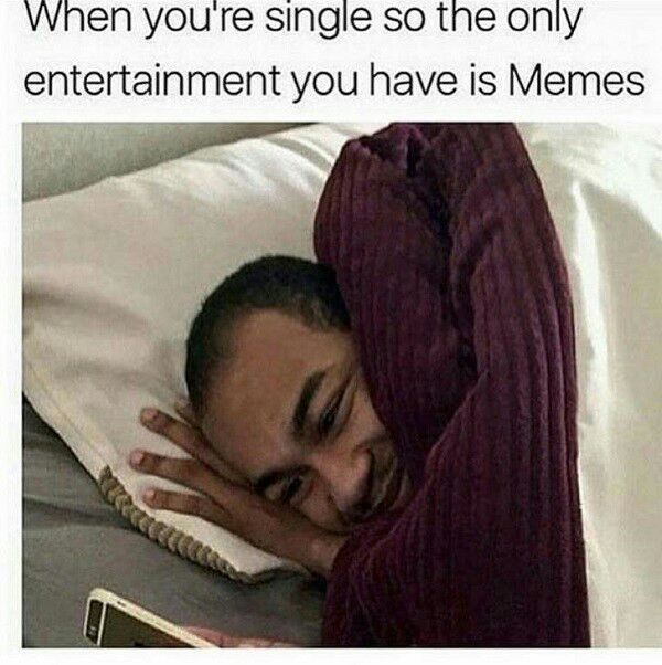Memes are the best in life