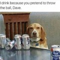Alcoholic dog