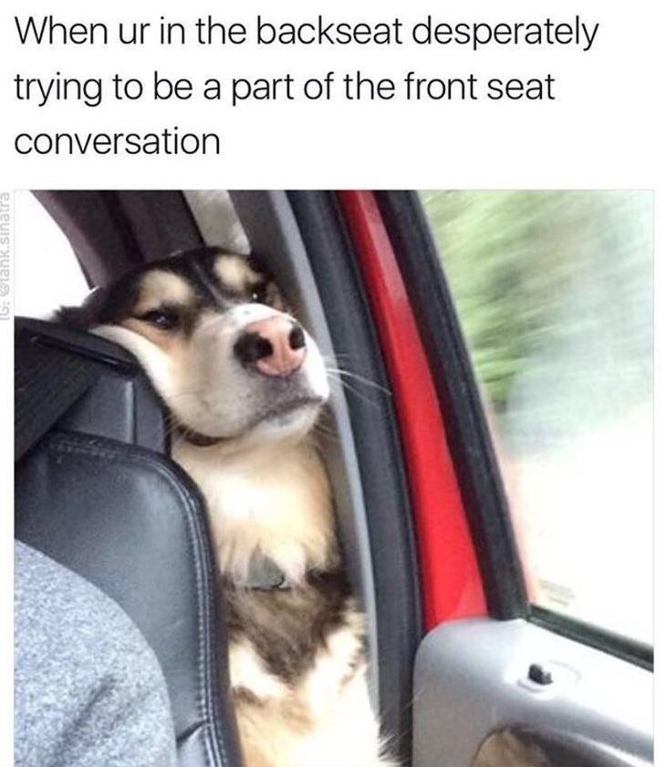 Interested in the conversation on the front seat - meme