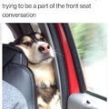 Interested in the conversation on the front seat