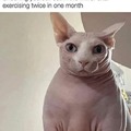 commented item thumbnail