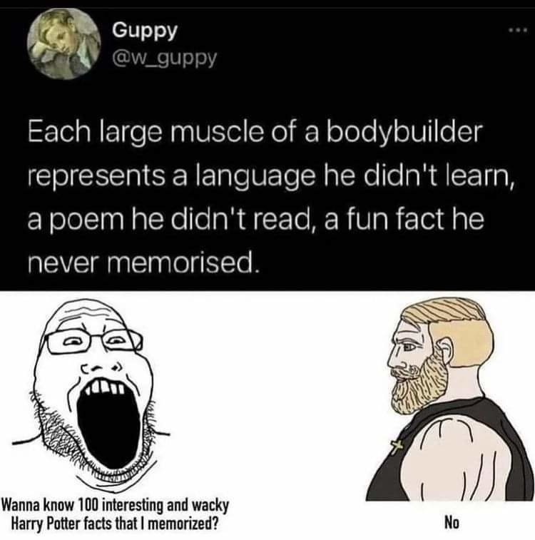 Man people really be thinking muscular people are stupid. Imagine if they found out how much goes into getting jacked - meme
