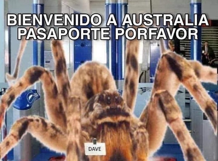Australia - meme
