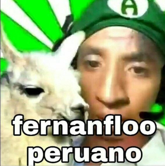 Fernanfloo peruano - meme