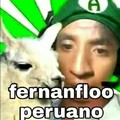 Fernanfloo peruano