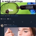 sub 4 smol frogz