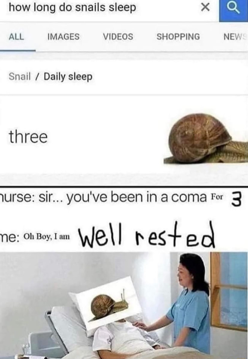 Snail - meme