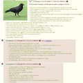 Anon becomes the crow puppeteer