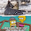 Zebra salvaje