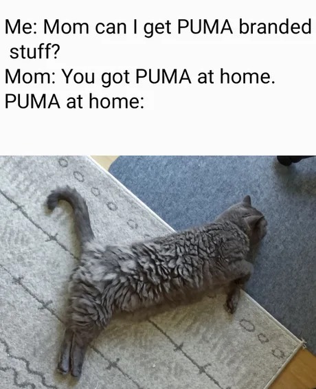 PUMA at home - meme
