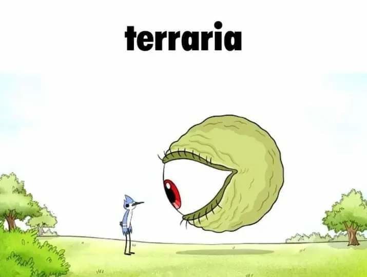 Terraria: - meme