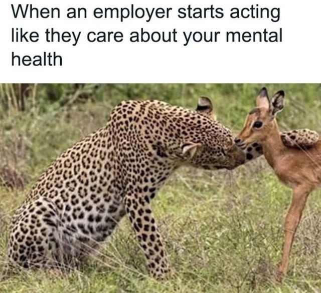 Employers and mental health - meme