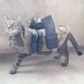 commented item thumbnail