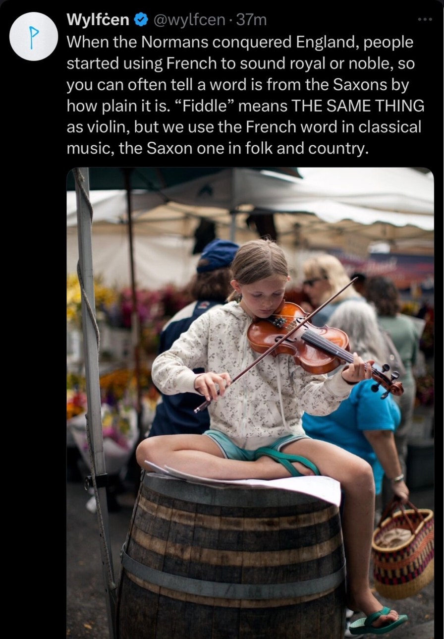 Fiddle vs violin: the class war of musical instruments - meme