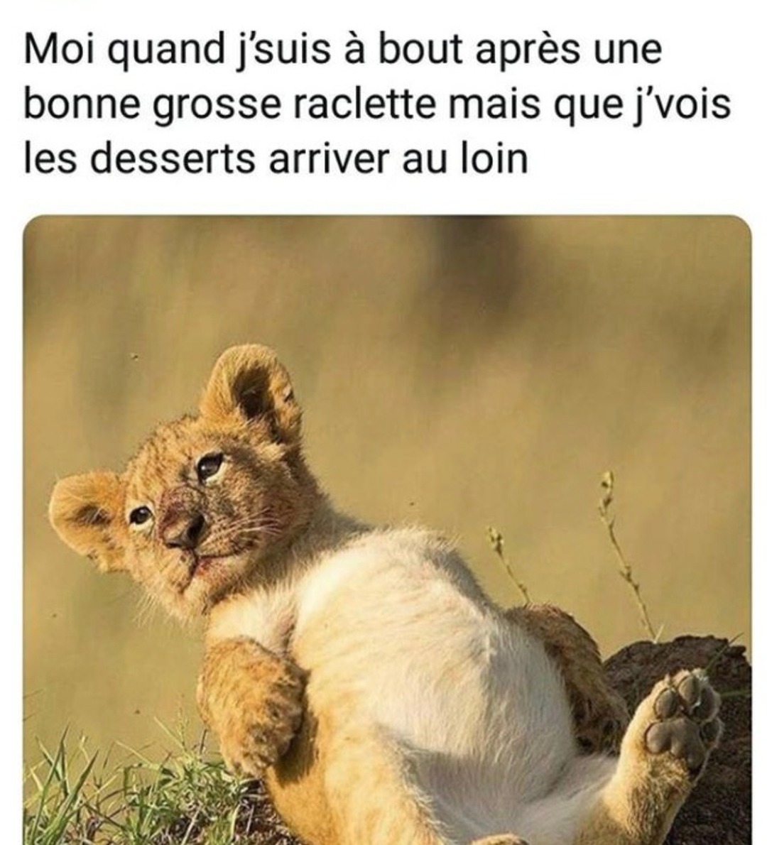 J'suis en PLS après la raclette mais j'entends les desserts m'appeler - meme
