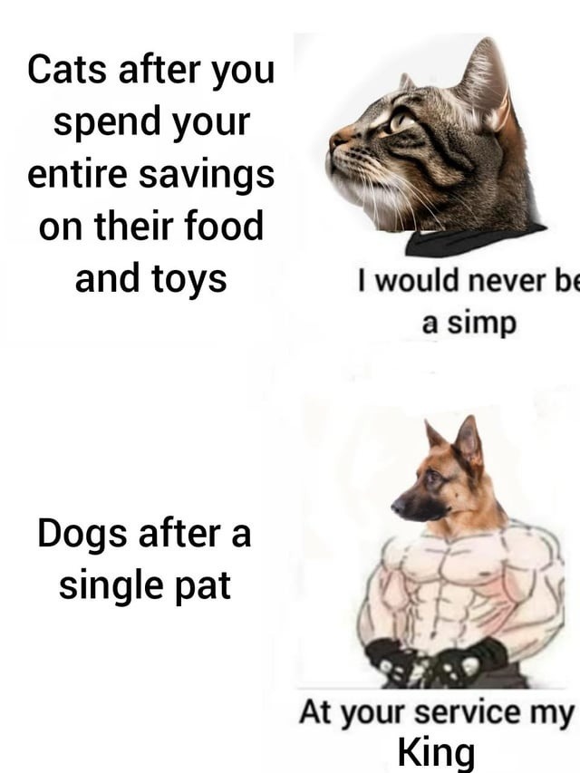 Cats vs dogs: one takes your money, the other your heart - meme