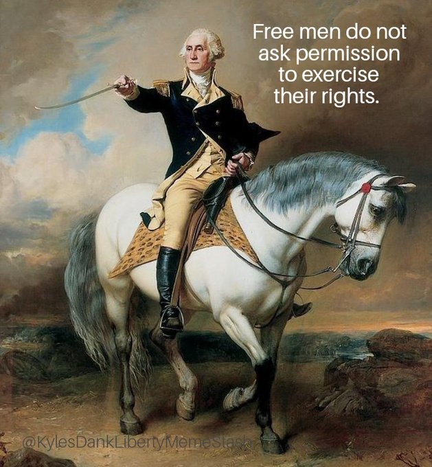 refuse to be governed - meme
