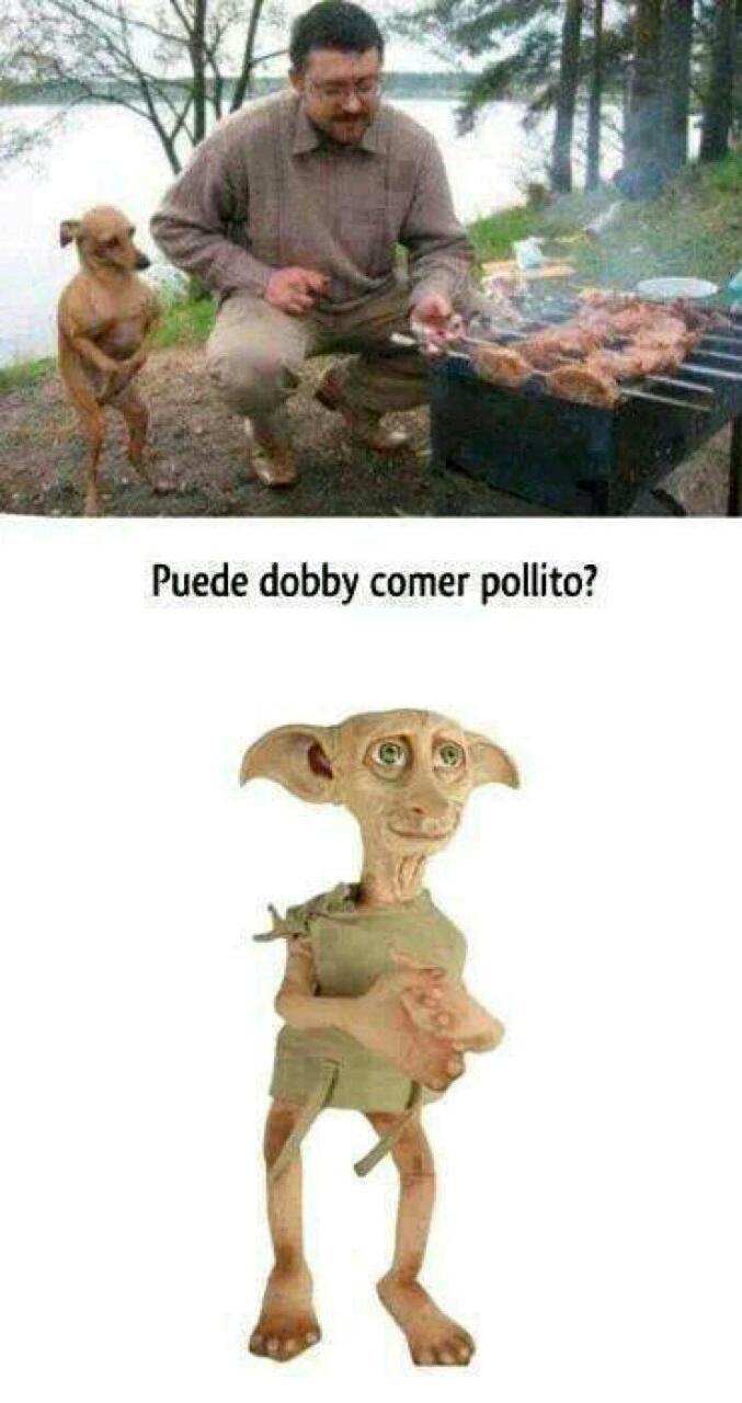Dobby  - meme