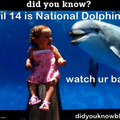 Dolphins love children too