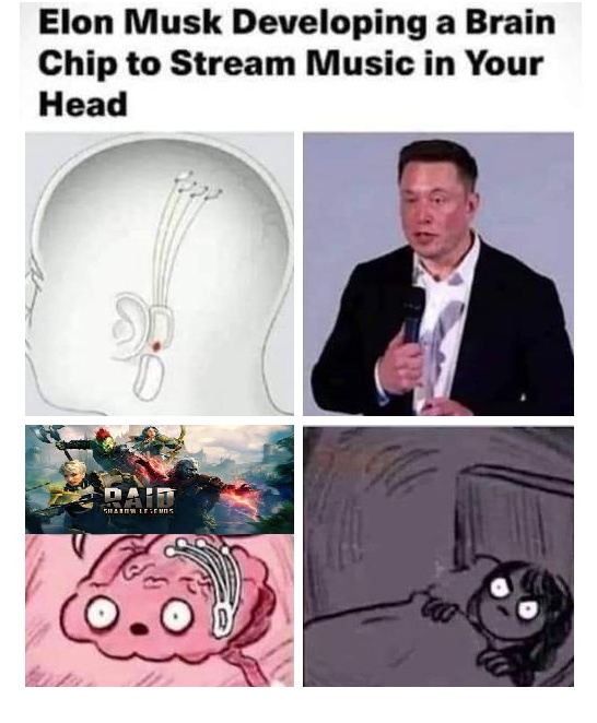 Elon Musk is developing a brain chip to stream music in your head - meme