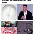 Elon Musk is developing a brain chip to stream music in your head