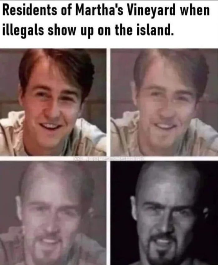 Illegal Island - meme