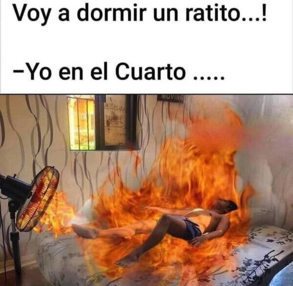 Dormir la siesta en verano - meme