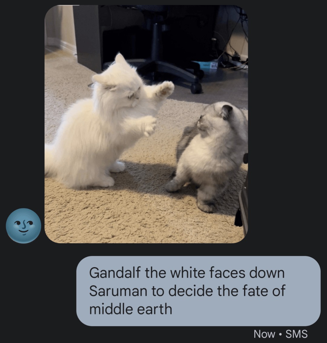 Gandalf the white vs Saruman, cat edition - meme