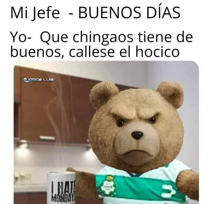 Ted - meme
