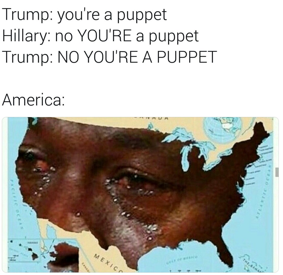 America is fucked either way - meme