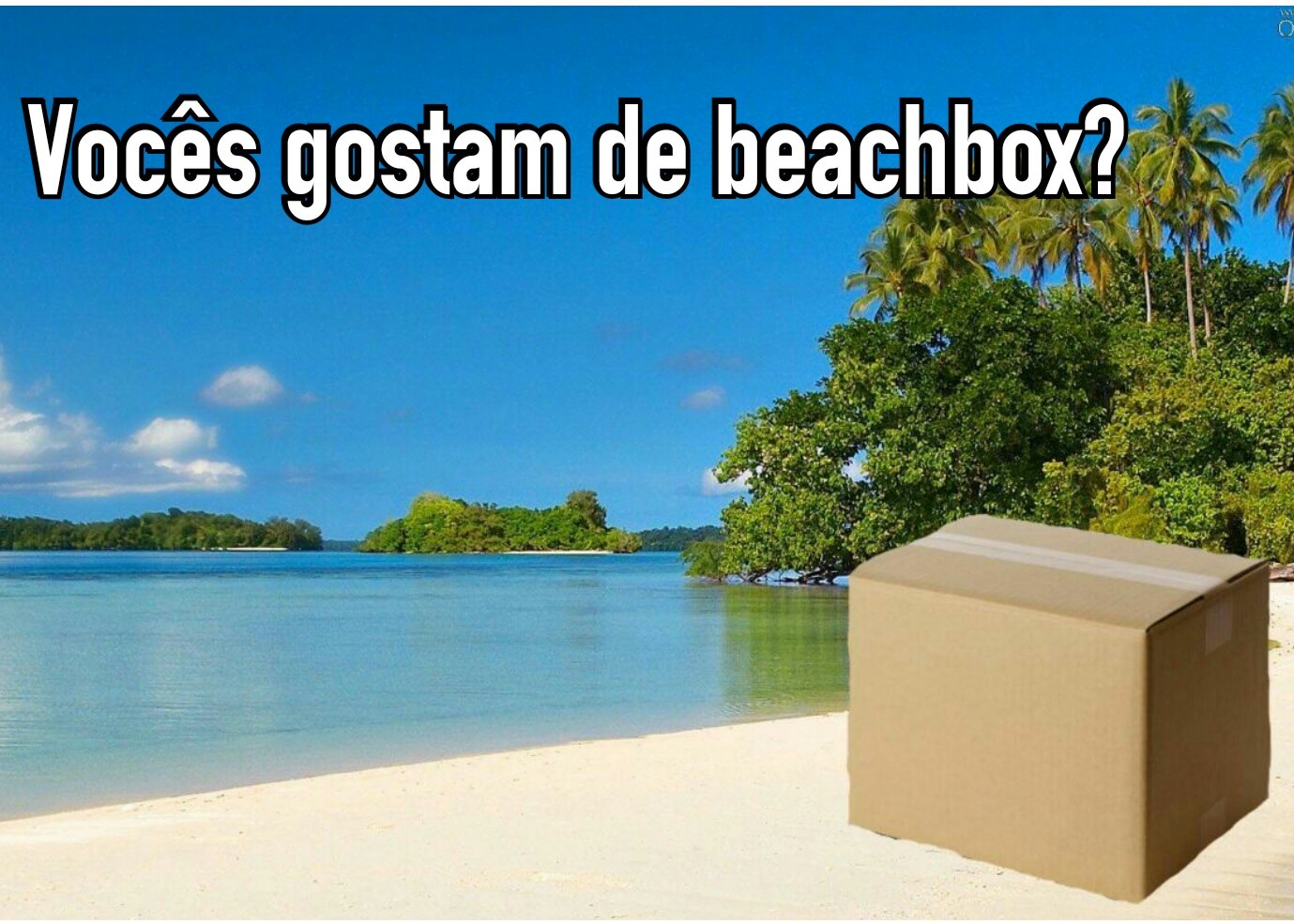 BeachBox - meme