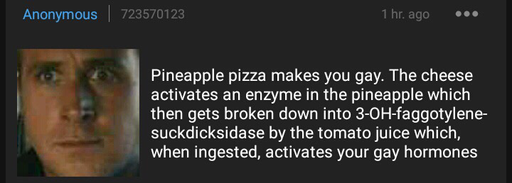 pineapple pizza looks gross - meme