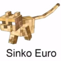 sinko euro