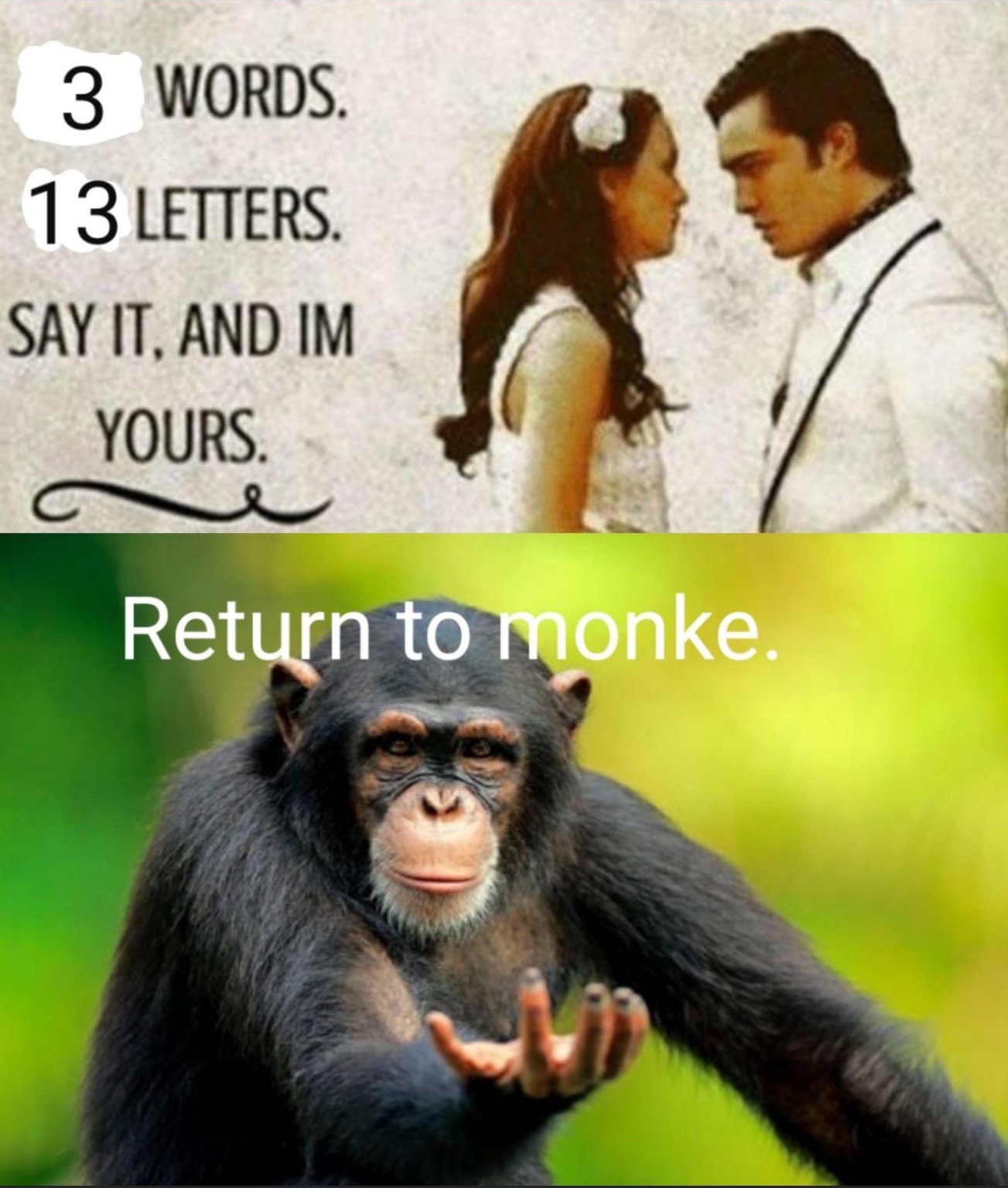 Return to monke - meme