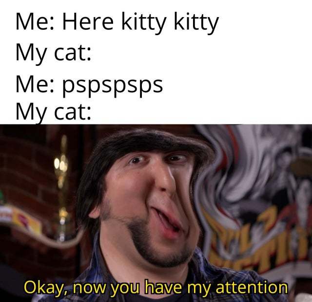 Don't you just love cats? - meme