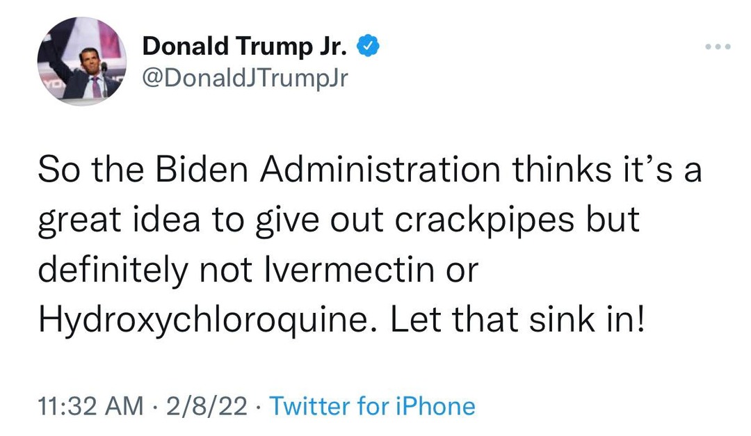 Solid Point from Don Jr. - meme