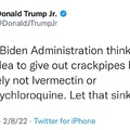Solid Point from Don Jr.
