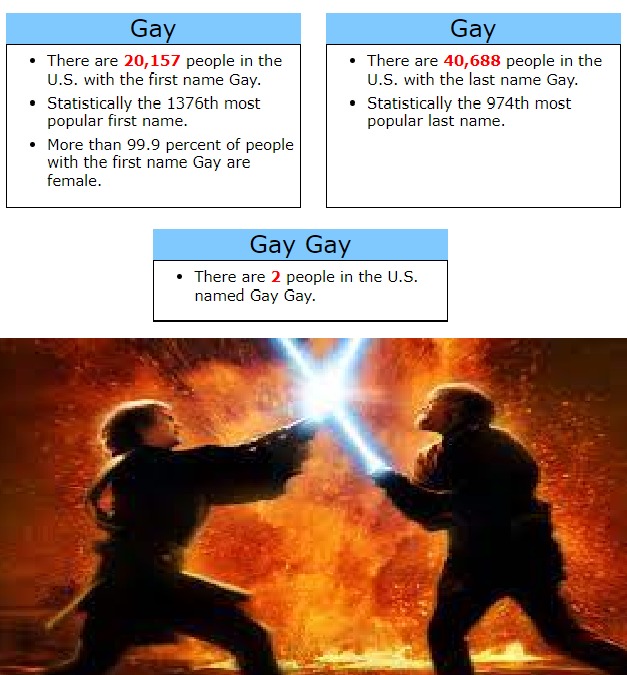 Gay Gay - meme