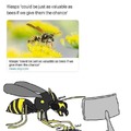 Wasp season