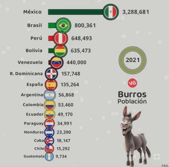 Los países mas burros de Iberoamérica :lol: - meme
