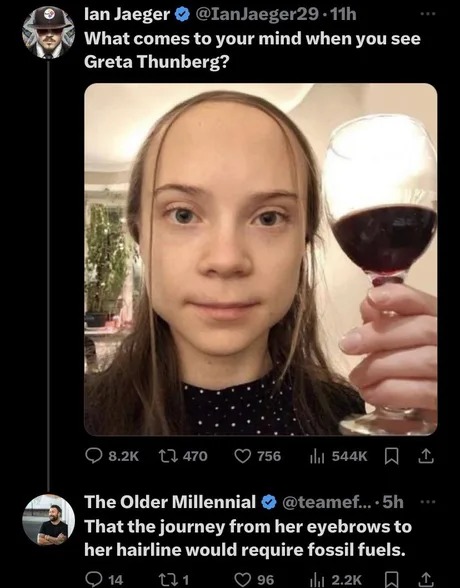Greta Thunberg meme