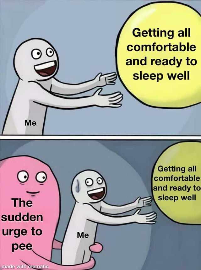 Urge to pee vs being comfortable to sleep - meme