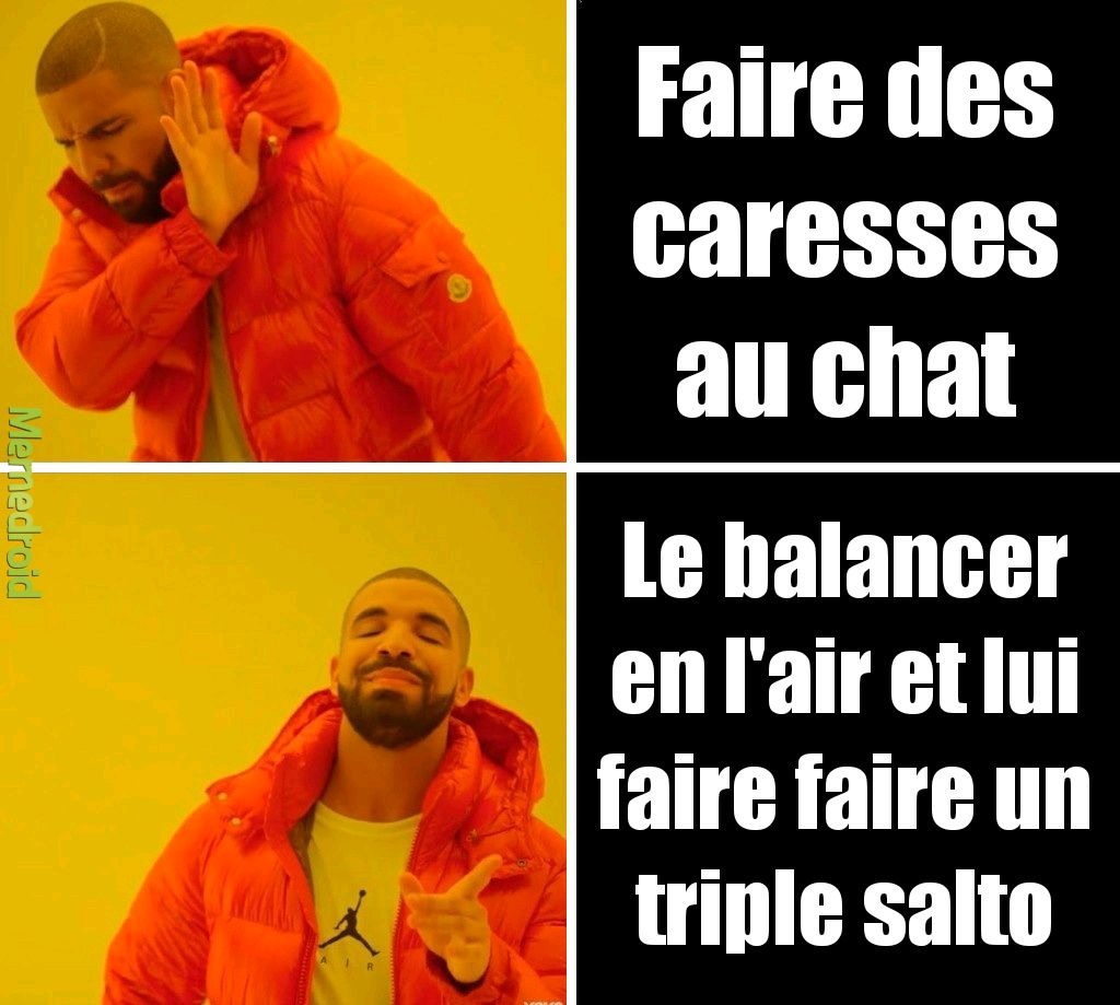 Le passe-temps de ma sœur - meme