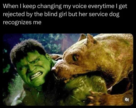 me changing my voice to trick the blind girl’s dog - meme
